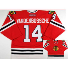 #14 Ryan Vandenbussche CCM Throwback Hockey Jersey